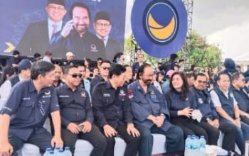 partai nasdem